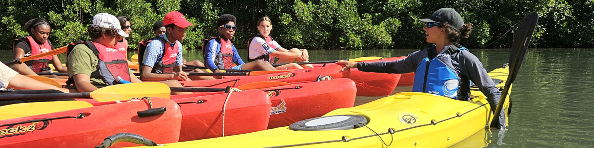 Visite mangrove nature kayak Ti-Evasion Guadeloupe