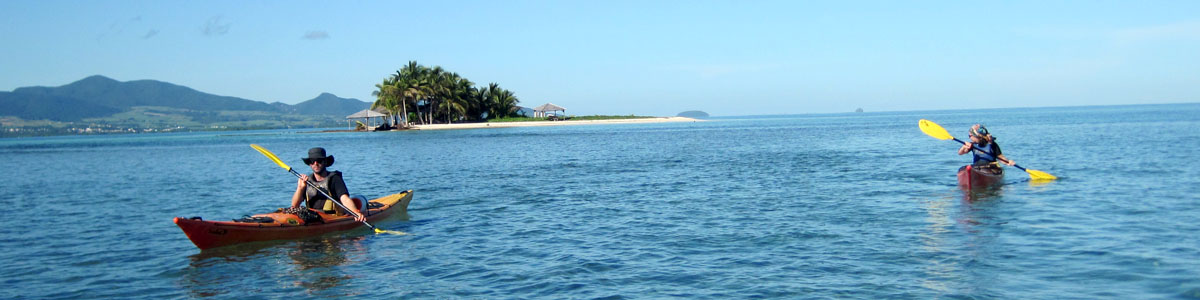 Visite mangrove nature kayak Ti-Evasion Guadeloupe