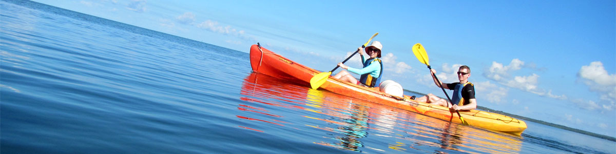 Guadeloupe kayak lagon Eco-Rando : balade en groupe sur eau turquoise entre mangroves et îlets